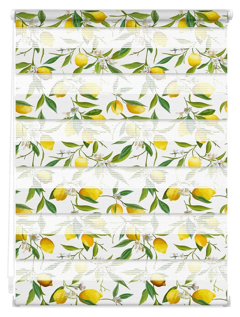 Doppelrollo Klemmfix ohne Bohren mit Motiv, Limone - Gelb Grün, Blickdicht, Germany, Klemmträger 90 cm x 150 cm (B x L)