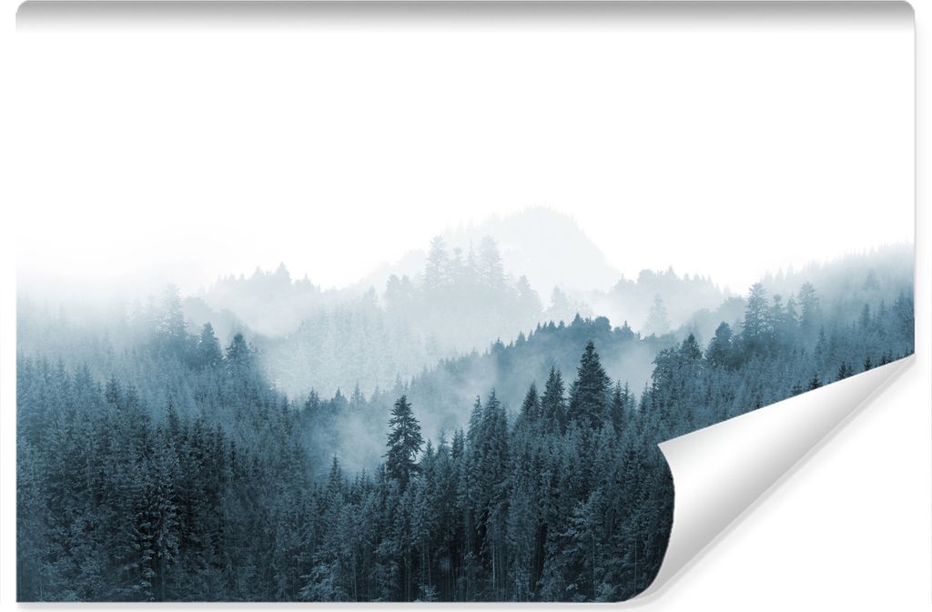 Muralo Selbstklebende Fototapete WALD IM NEBEL Bäume Natur Landschaft 3D 315 cm x 210 cm