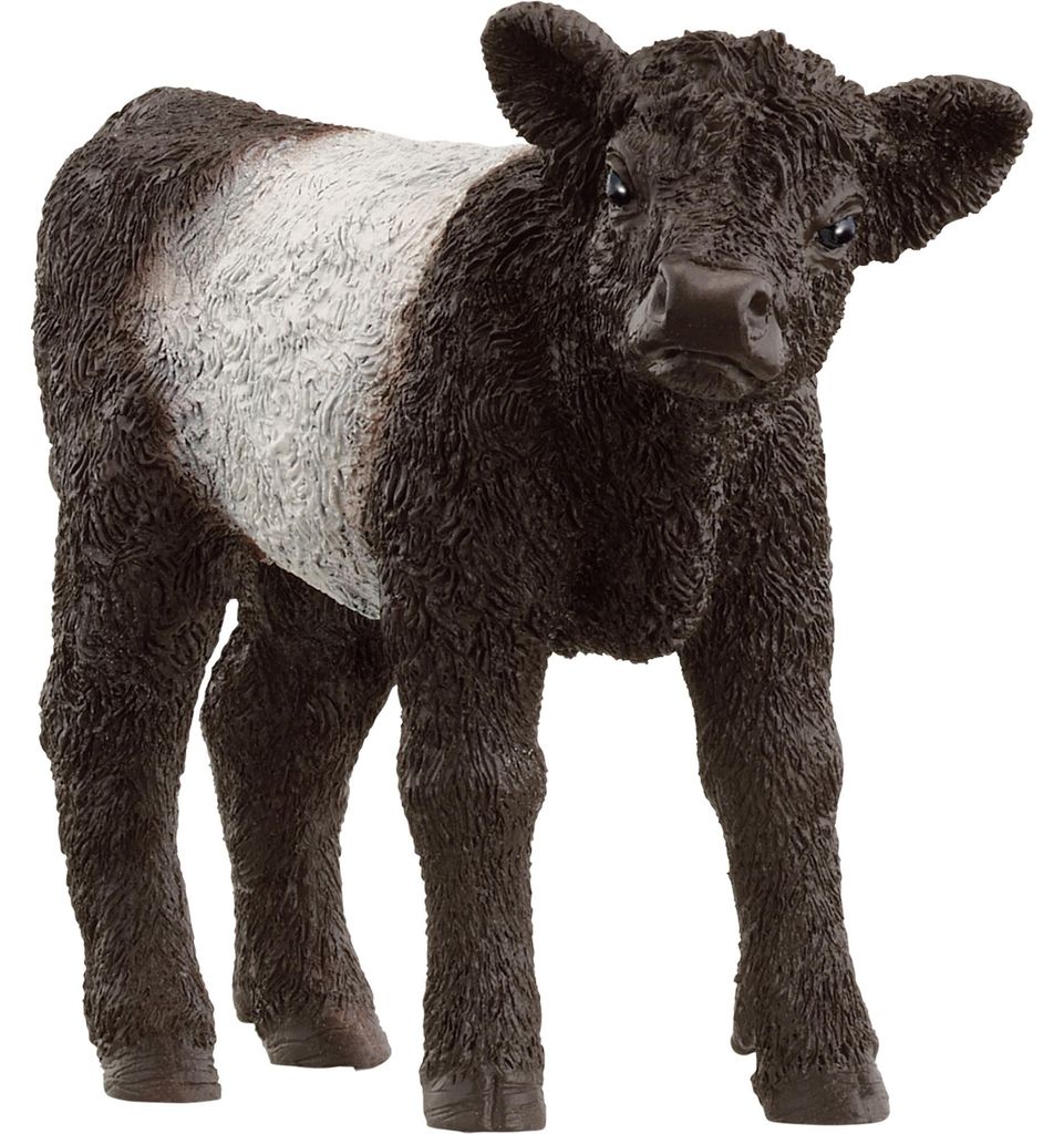 Schleich schleich FARM WORLD 13969 Galloway Kalb