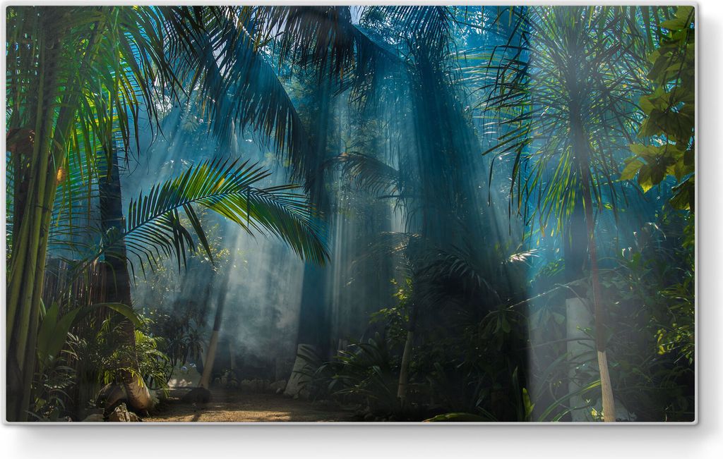 DEQORI Frühstücksbrett Glas 23x14 cm 'Licht durchdringt Palmen' Schneidebrett Platte