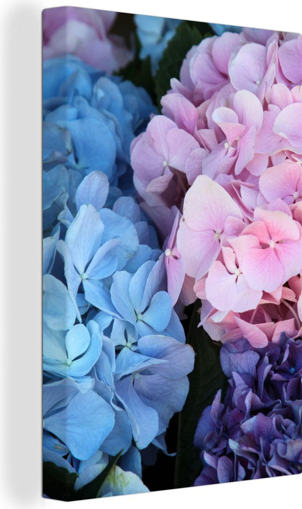 OneMillionCanvasses - Leinwandbilder - 90x140 cm, Blumen - Strauch - Hortensie - Botanisch, Wandbilder Kunstdruck Wanddekoration - Foto auf Leinw...