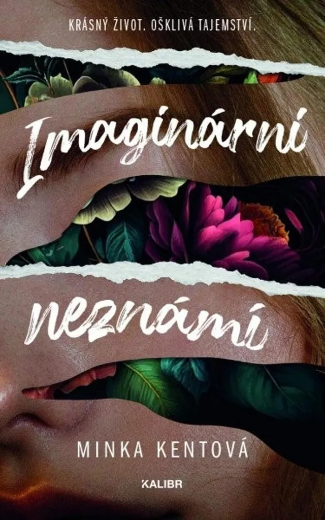 Livre Thriller Imaginární neznámí - Minka Kent Édition Littérature Noire