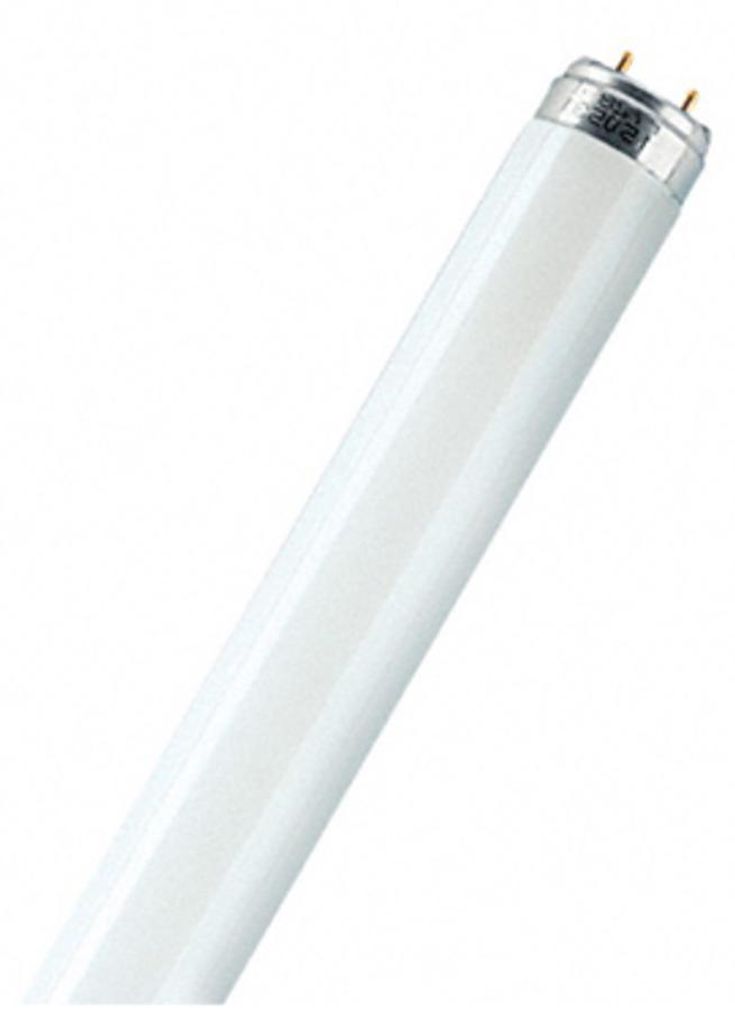 Lampe T5 FH 35 Watt 840 HE - Osram Image du produit 
