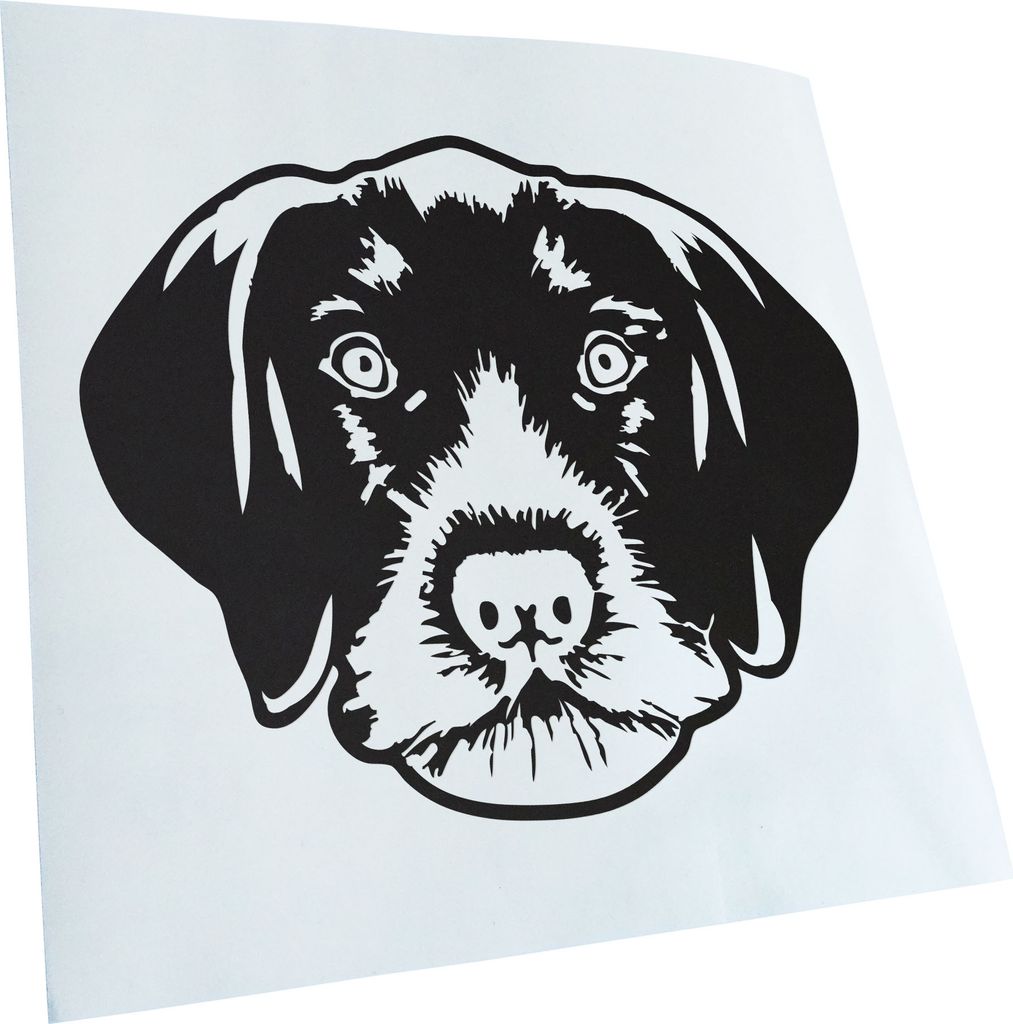 Kiwistar - Autoaufkleber - German wirehaired pointer Hund - Mattschwarz - 30x25cm - Aufkleber für Auto, Laptop, Fahrrad, LKW, Motorrad mehrfarbig ...