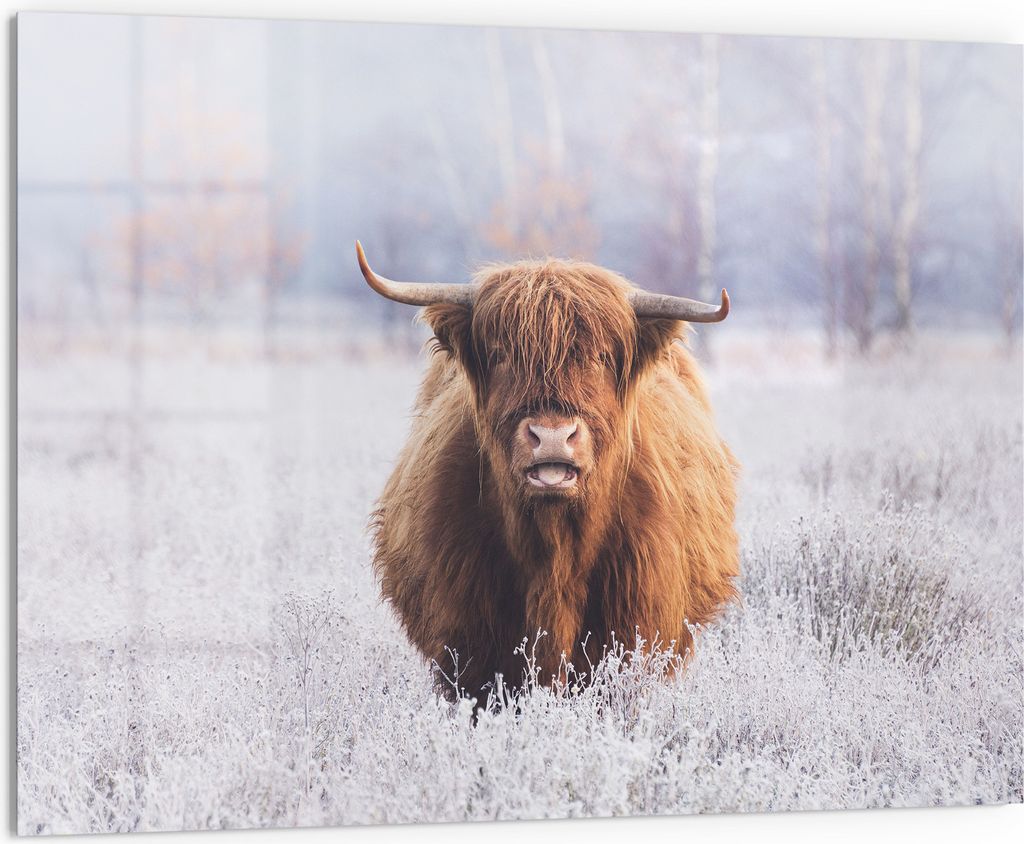 DEQORI Küchenrückwand Glas 80x60 cm 'Frostiger Hochlandblick' Spritzschutz Bad Rückwand Küche