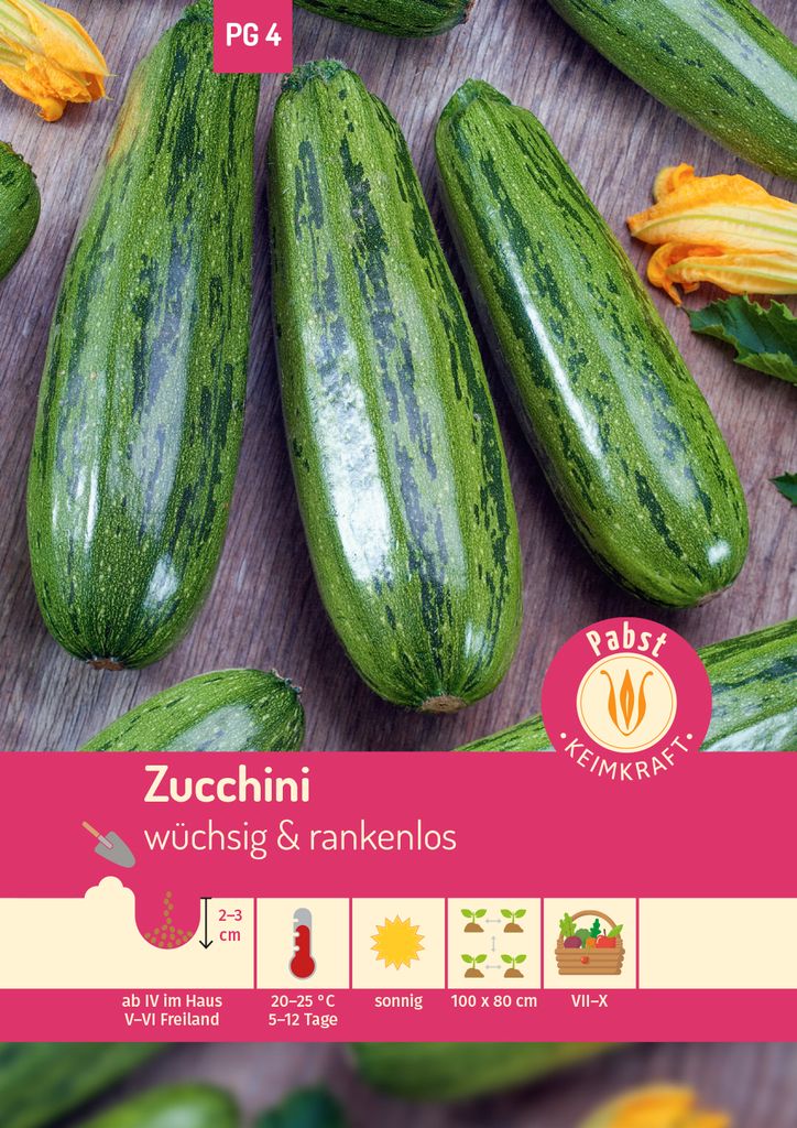 Pabst Keimkraft - Zucchini wüchsig & rankenlos Coucourzelle Produktbild 