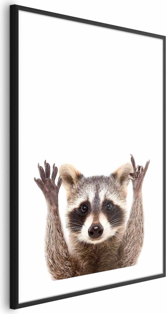 Posterpapier Poster - Raccoon 60x90 cm Für Kinder g-B-0097-ao-a
