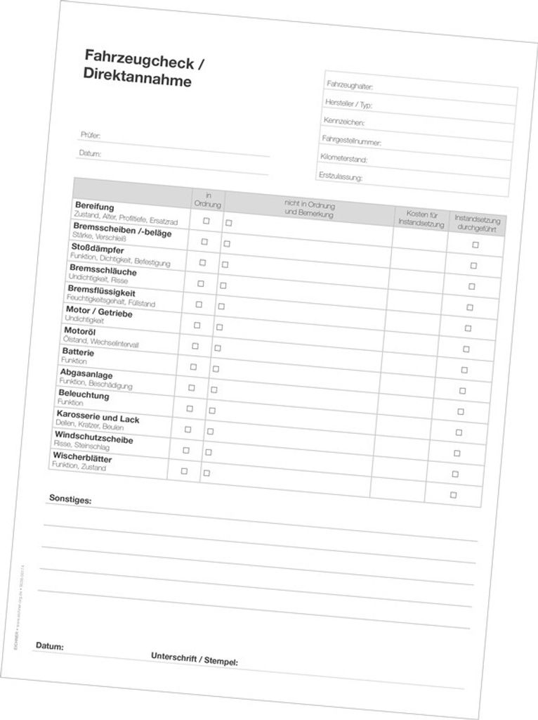 Diverse Formblätter zur besseren Übersicht bei allen inspektionsrelevanten Kategorien, A4-Format, Weiß, Bedruckung Fahrzeugschein / Direktannahm...