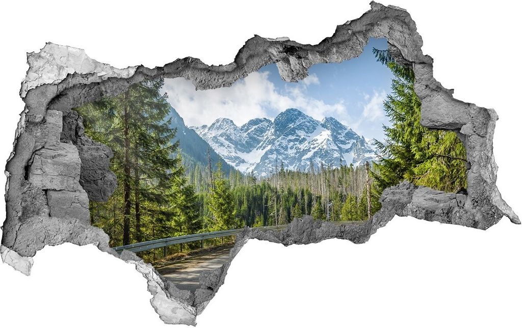 Selbstklebender Loch-3D-Aufkleber 95x73 cm Tatra Straße