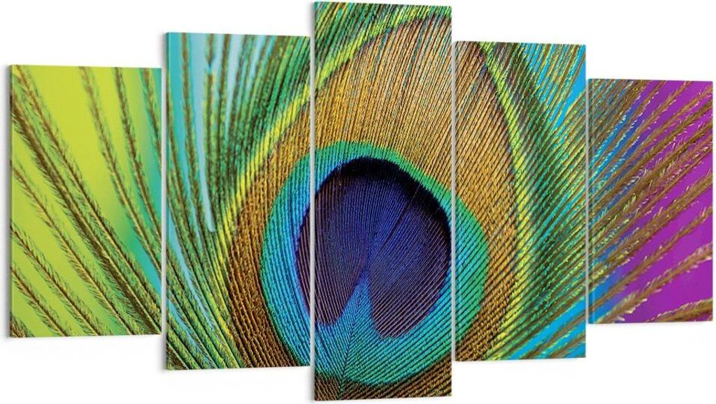 Bild auf Leinwand - Leinwandbild - 5 Teile - Pfauen Federn Regenbogen - 160x85cm - Wand Bild - Wanddeko - Wandbilder - Leinwanddruck - Bilder - Wan...