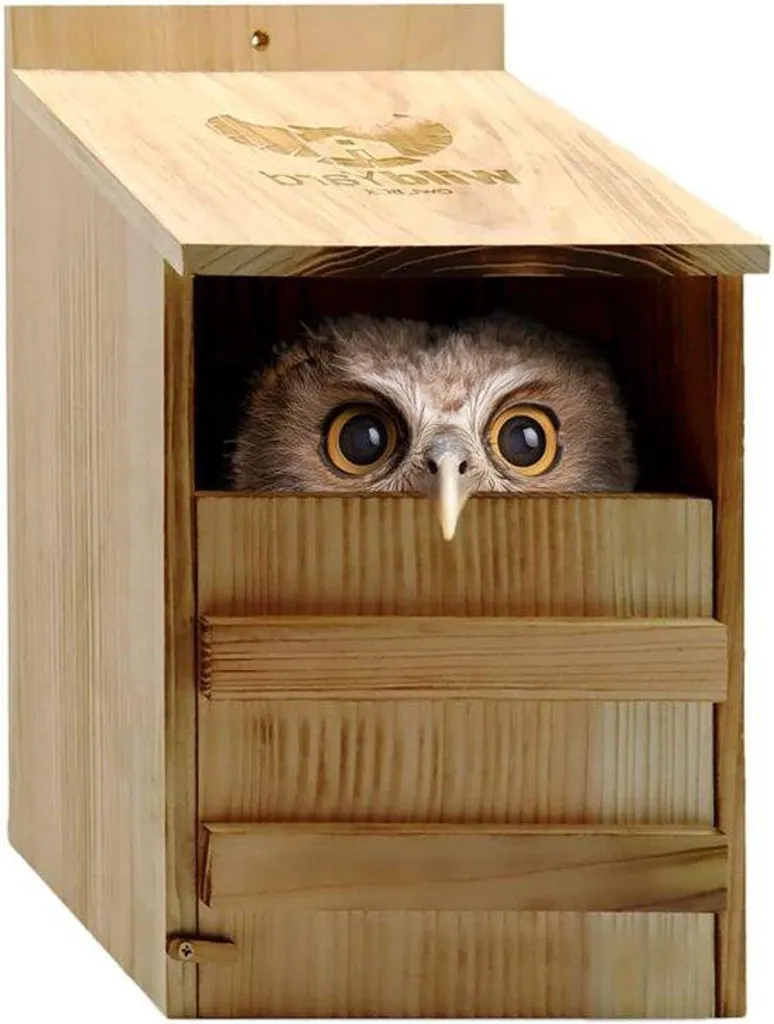 Armoire de bureau de jardin pour le télétravail à la maison