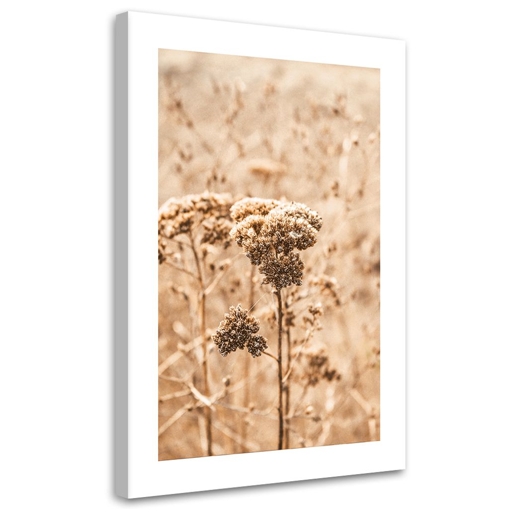 Leinwandbild Beiges Gras 60x90 Feeby Beige bild für die wand bereit zum aufhängen