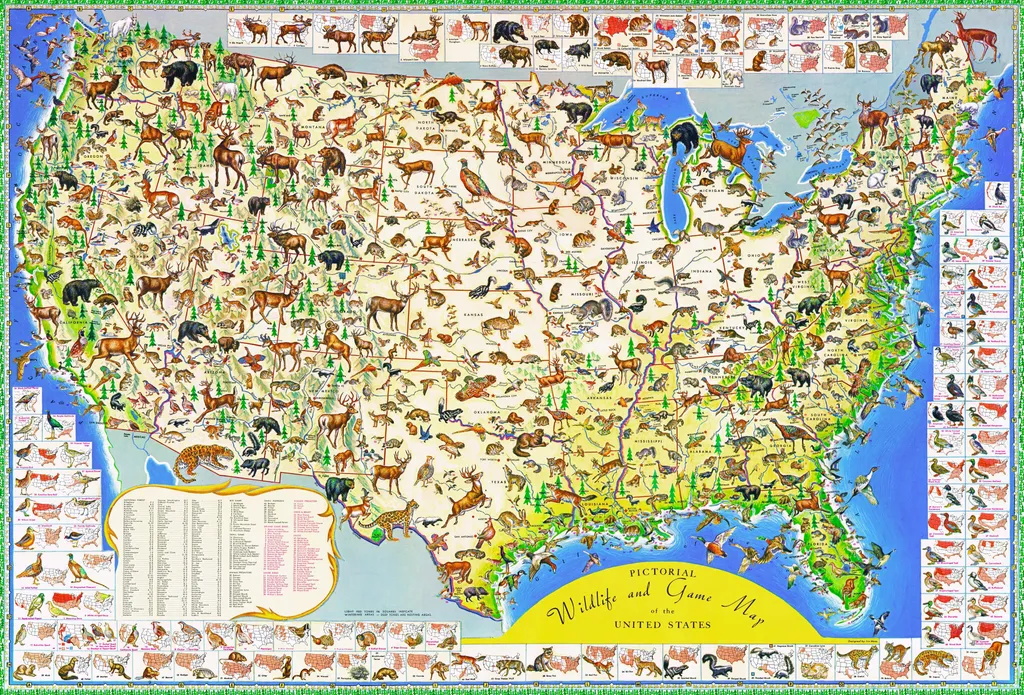 Puzzle 2000 Pièces Faune Sauvage : Grand Format pour Adultes et Experts