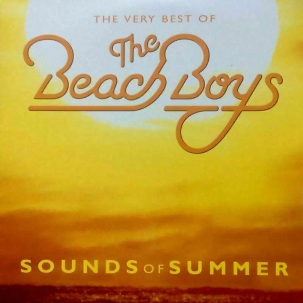 Musique été The Beach Boys Sounds Of Summer double vinyle 33 tours