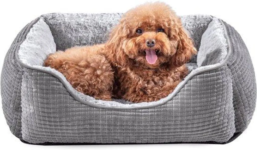 Panier orthopédique apaisant en velours pour petit chien et chat gris