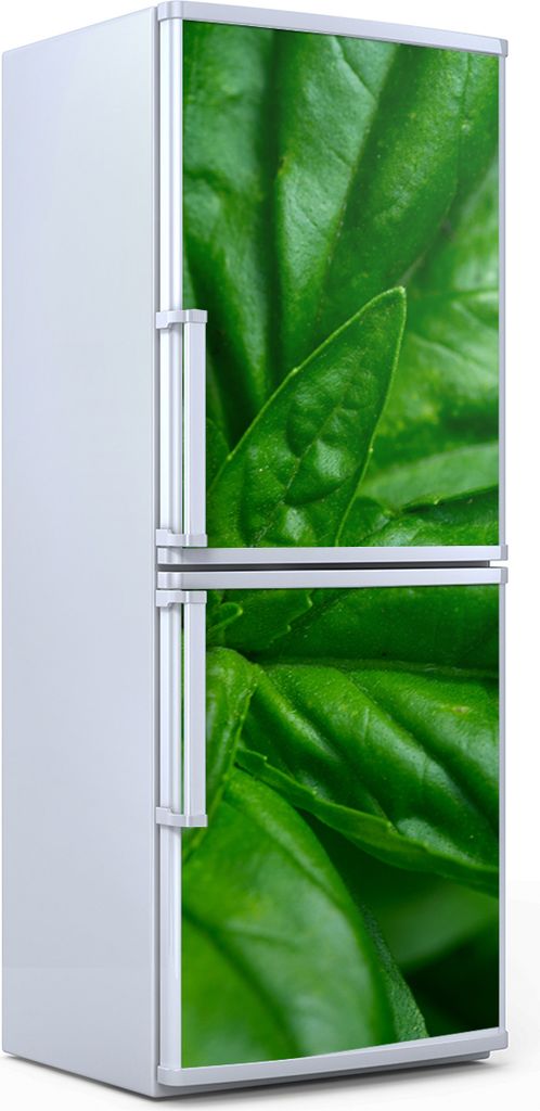 Kühlschrankdekoration 60x180 cm Aufkleber auf dem Kühlschrank - Basilikum Blätter