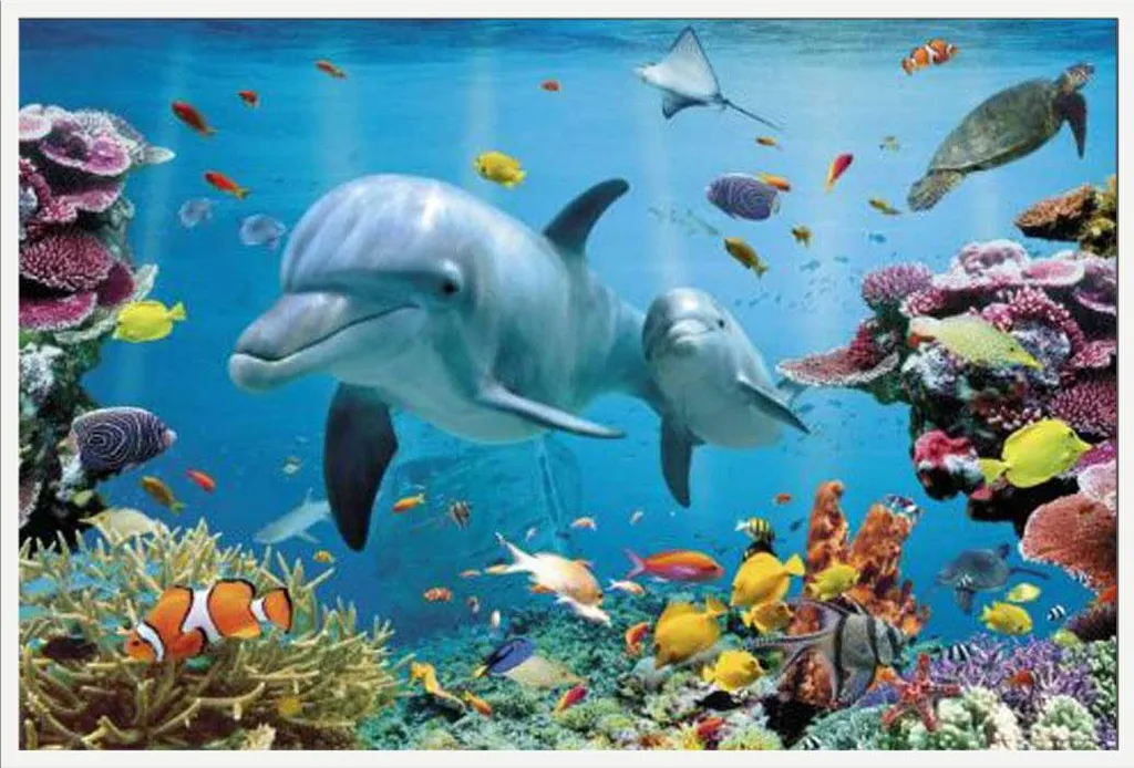 Affiche Dauphins avec Cadre Blanc Shinsuke et Vitre Acrylique Sécurisée