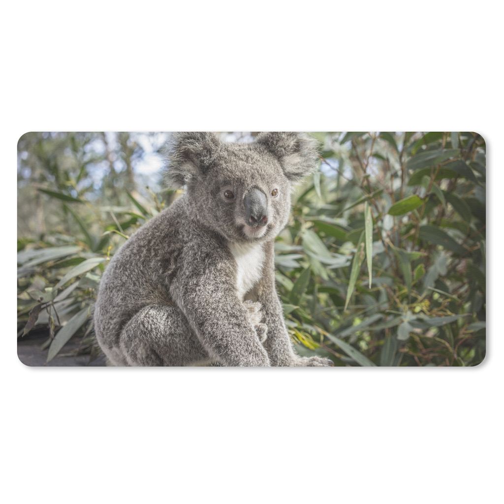 MuchoWow Mauspad Mousepad Koala - Regal - Pflanzen - Kinder - Jungen - Mädchen 60x30 cm - Mousepads - Maus Mat - Pad - Mausunterlage - Nachhaltig