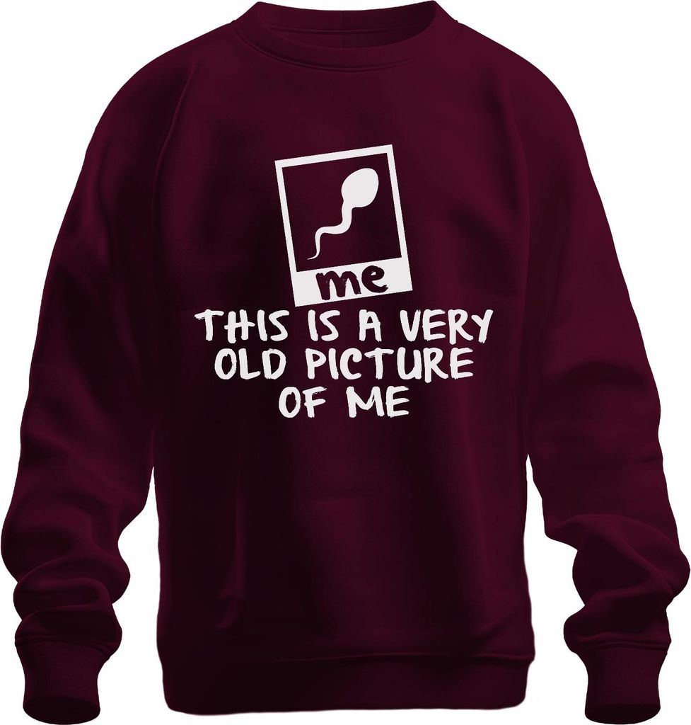 dies ist ein sehr altes foto von mir ploaroid lustiger Spruch Uni Sweatshirt Pullover, Burgundy, XL
