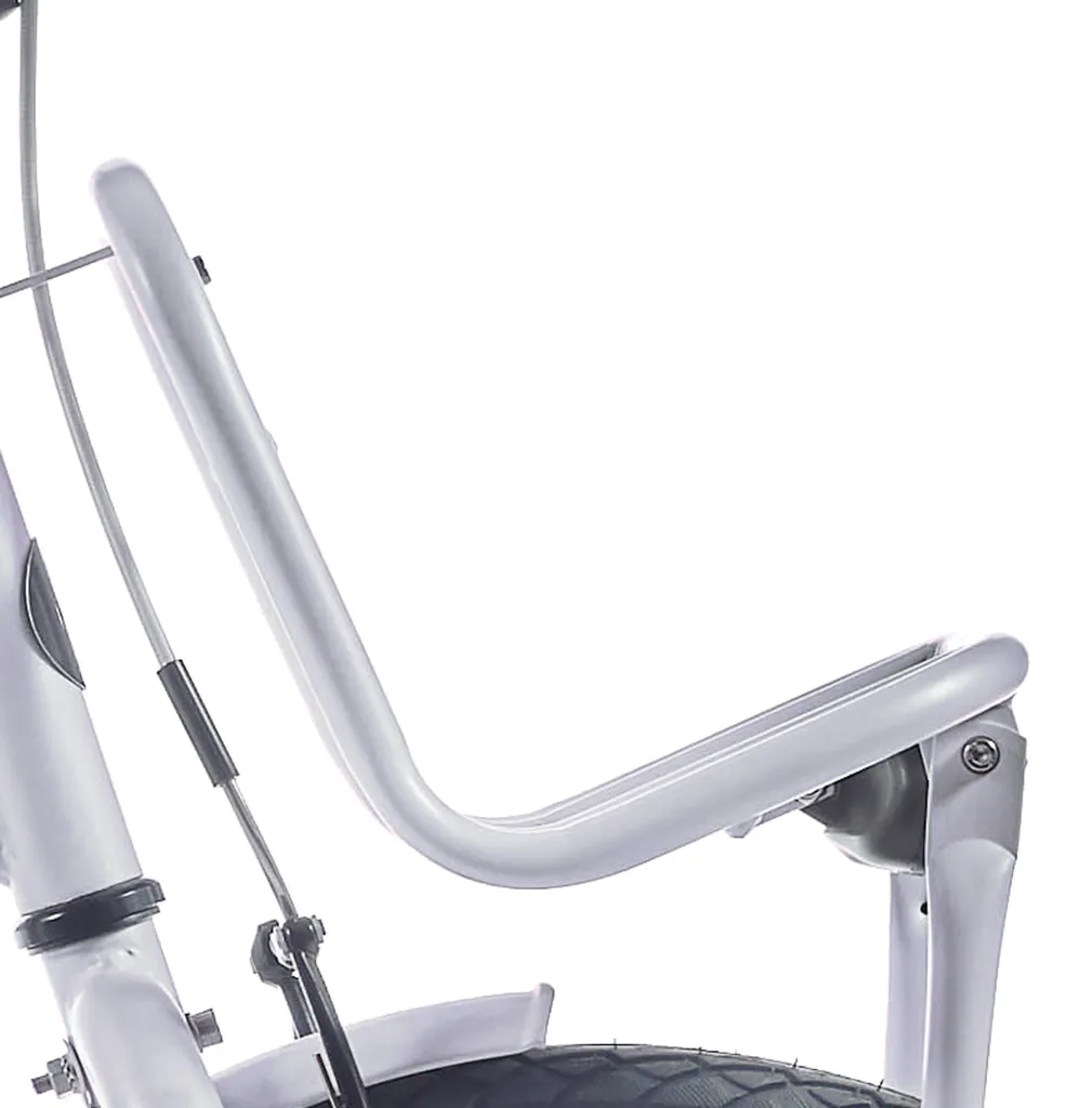 Panier de Transport pour Vélo Enfant Alpina 20 Clubb Rose Poudré