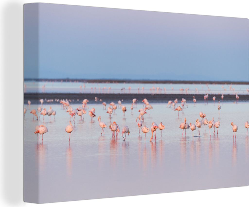 OneMillionCanvasses - Leinwandbilder - 140x90 cm, Riesige Flamingos im regionalen Naturpark Camargue, Frankreich, Wandbilder Kunstdruck Wanddekor...