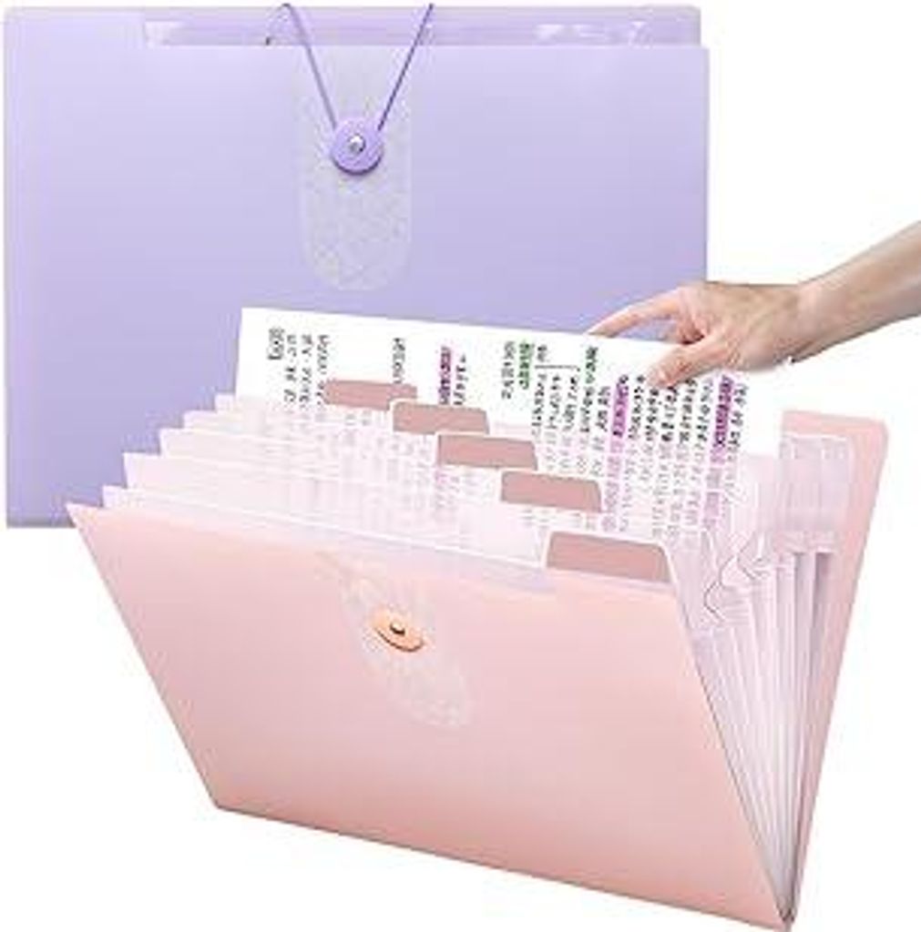 Dokumentenmappe A4?2 Stück Fächermappe mit 12 Fächern? Tragbar Organizer Mappe Mit Etiketten,Kunststoff Ordnungsmappe,Für Schule Bürobedarf