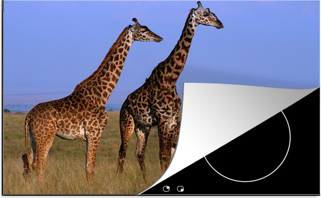 KitchenYeah Herdabdeckplatte Drei Giraffen in Kenia , 78x52cm, Küche Deko, Glaskeramikkochfeld Herdabdeckung, Abdeckplatte fùr Kochfeld