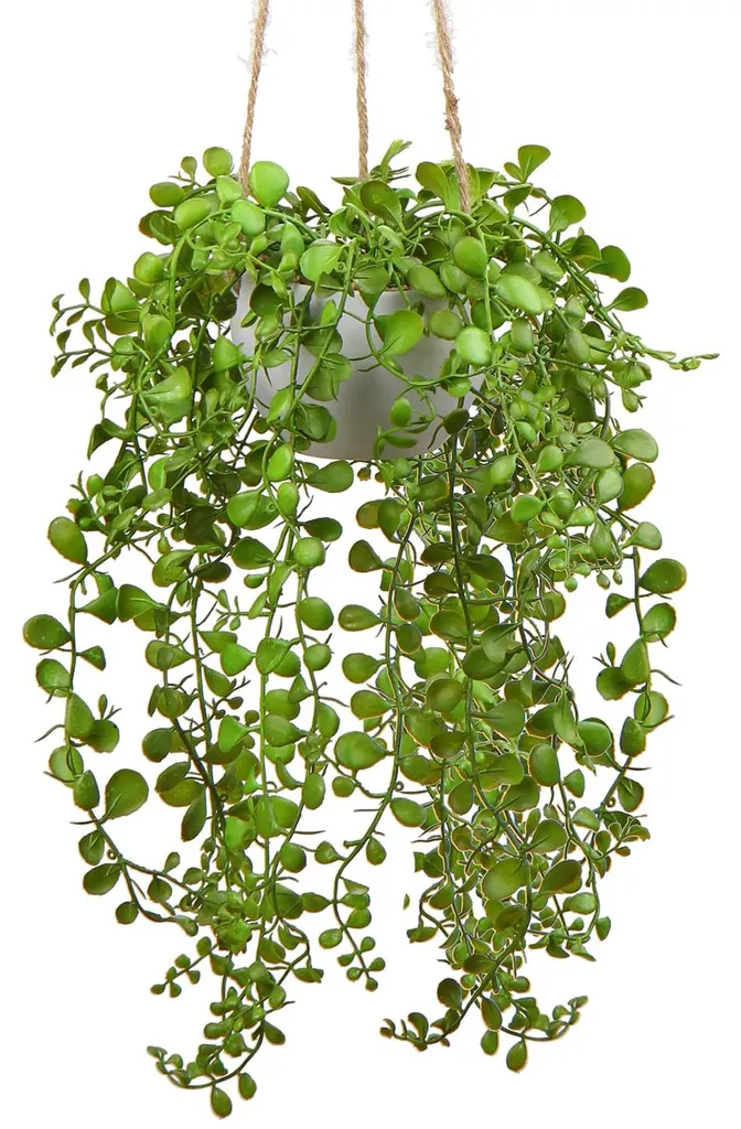 Ficus rampant artificiel en panier suspendu 35,5 cm décor mural vert