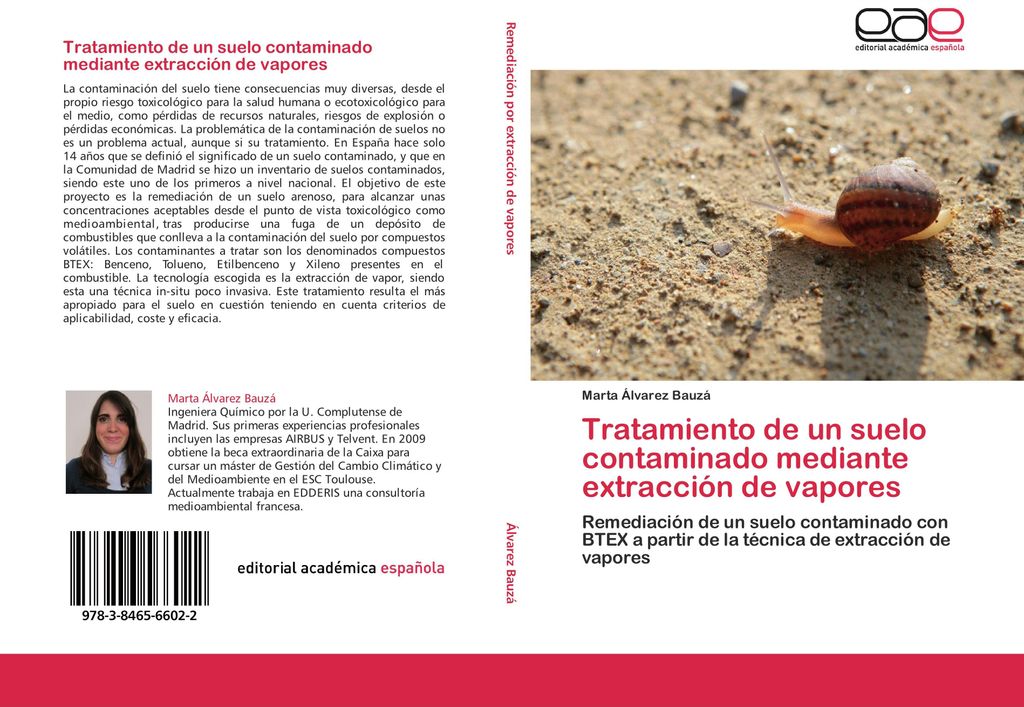 Tratamiento de un suelo contaminado mediante extracción de vapores