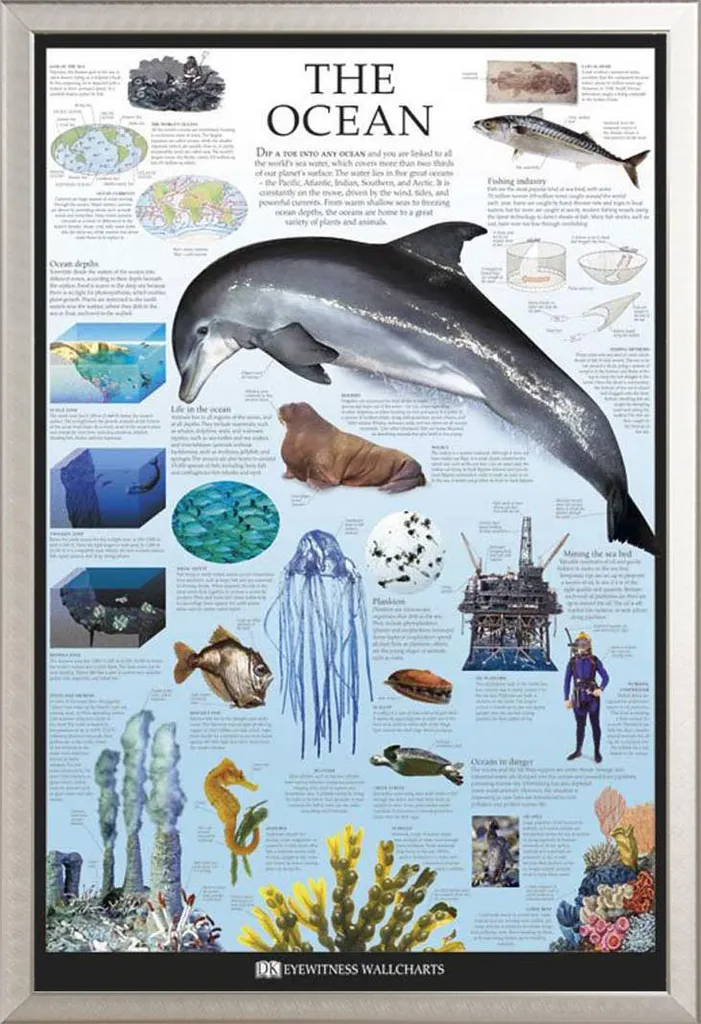 Poster Océan DK cadre interchangeable Shinsuke aluminium et acrylique