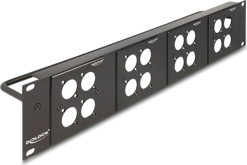 Châssis 19" avec 4 Emplacements Type D 86x86 mm Noir Robuste Delock