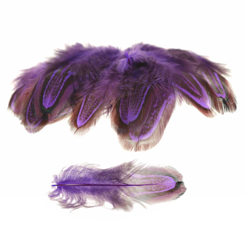50 Hühnerfedern f. z.B. Federkostüm ca. 48x12cm gefärbt, Farbwahl, Farbe:lila