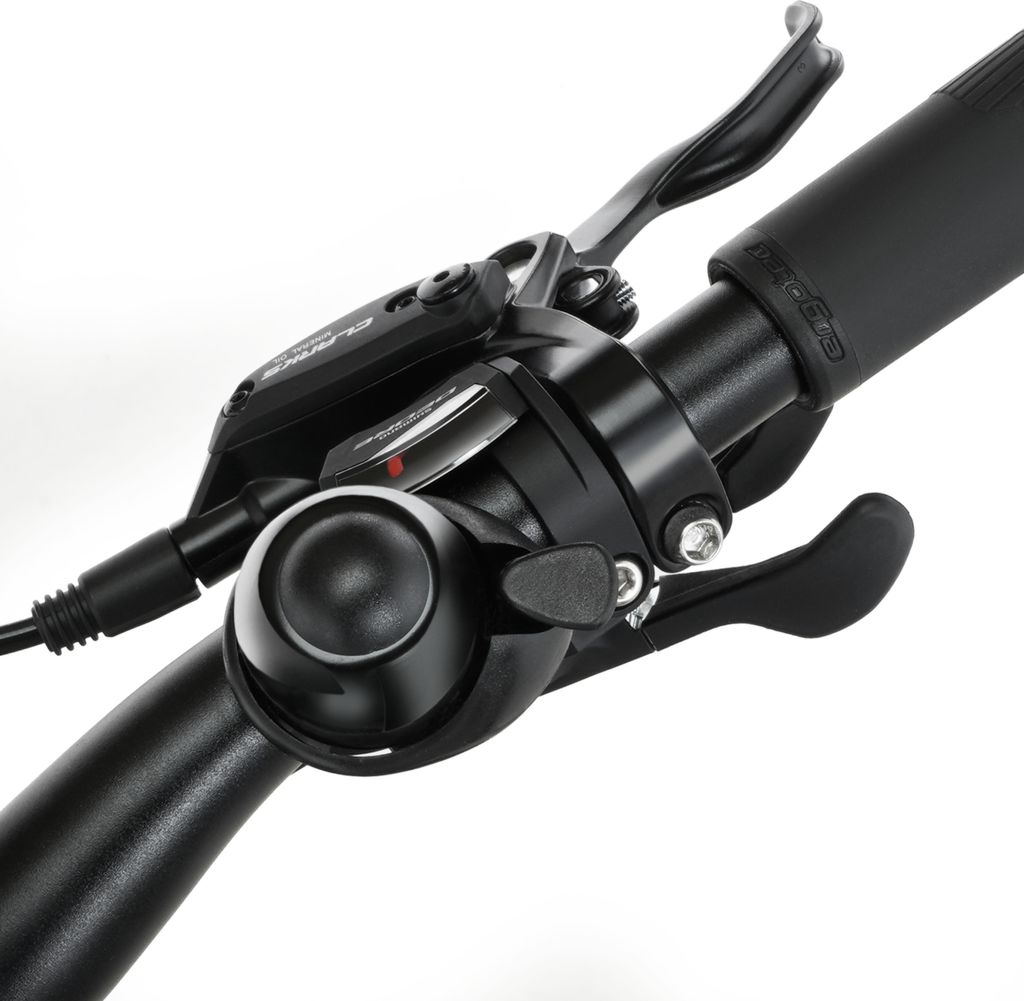 FISCHER E-Bike Pedelec Trekking Viator 7.0i Diamant, Produktbild 11