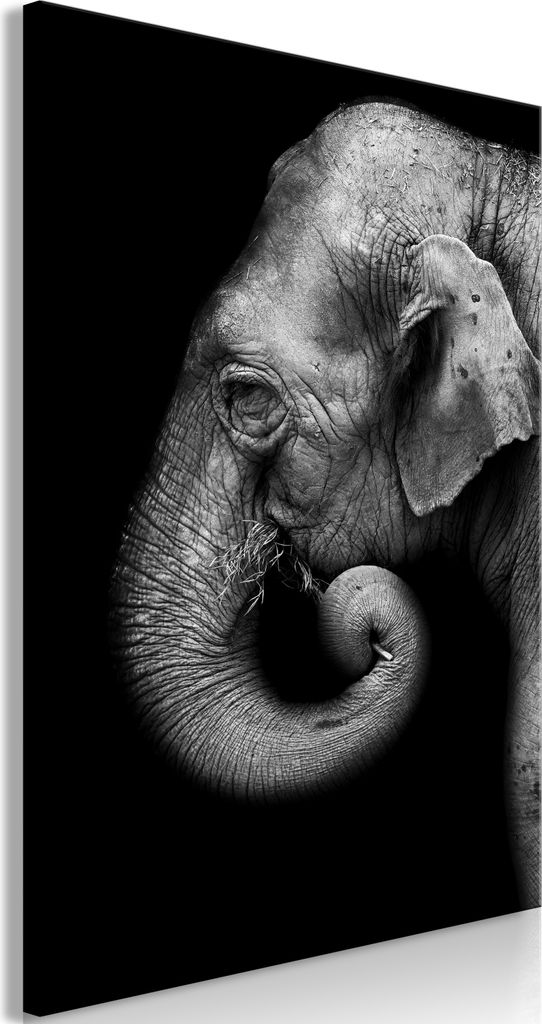 Italienischer Leinwand Leinwandbild - Portrait of Elephant (1 Part) Vertical 80x120 cm Tiere g-B-0109-b-a