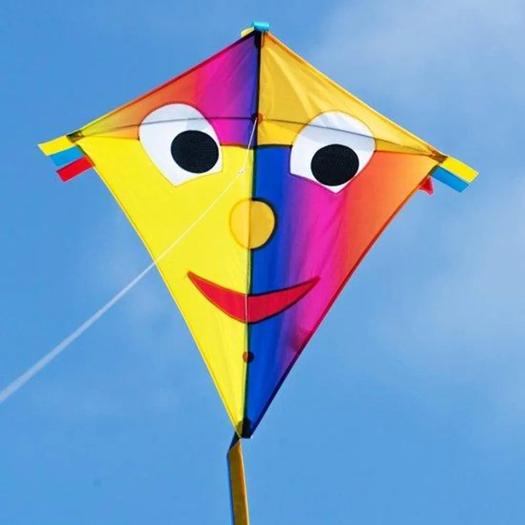 Grand Cerf-volant monofil pour enfant avec poignée et ligne 80 m