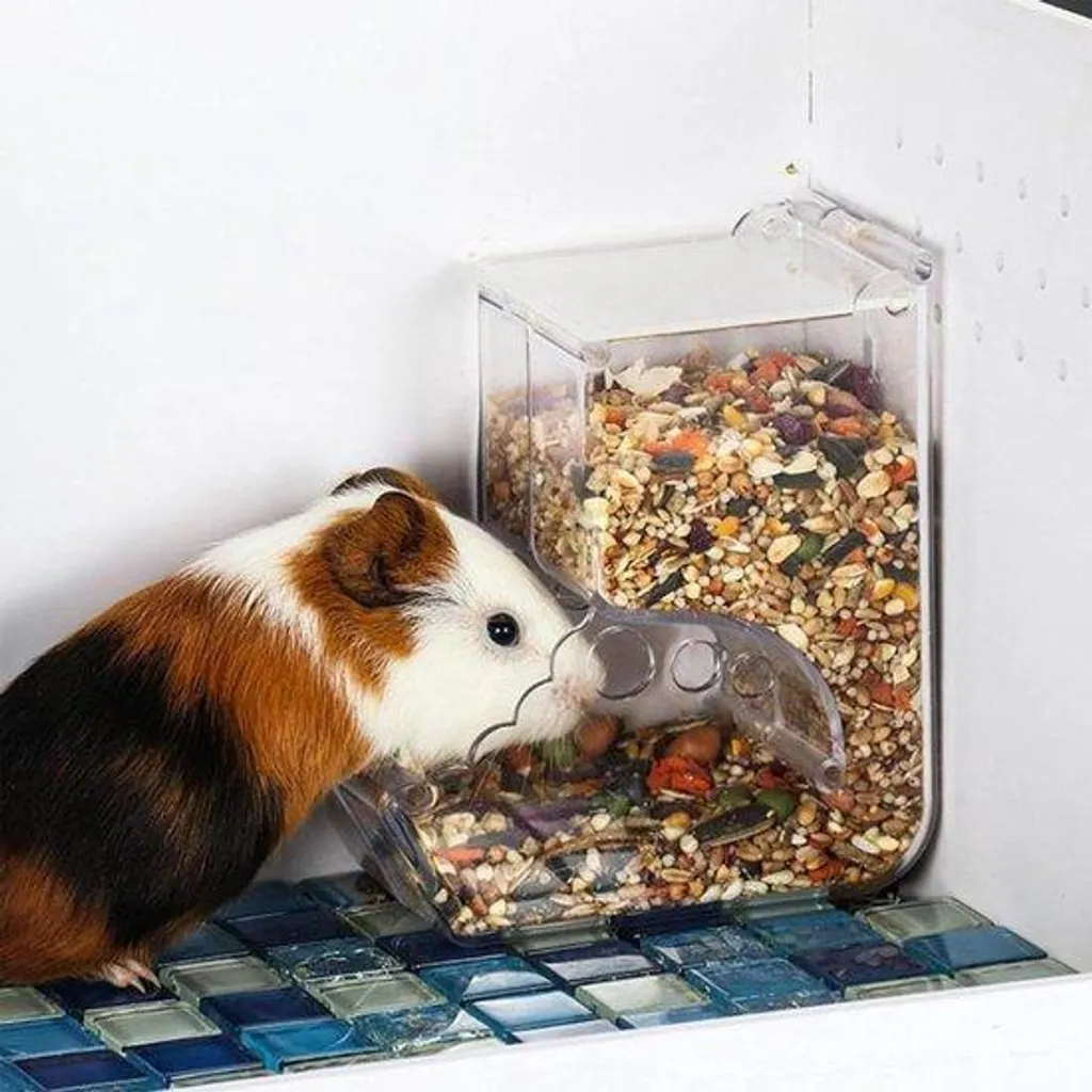 Distributeur automatique de granulés pour hamster et petits rongeurs