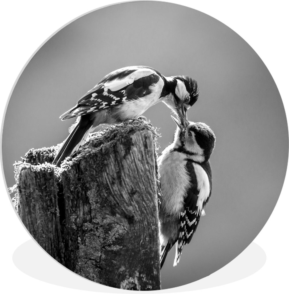 MuchoWow - Wand Kreis - Das Schlafzimmer - Die Bilder - Wandmalerei - Kunst für das Haus - das Plastik