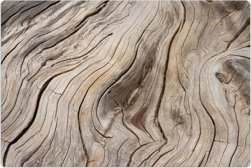 Küchenmatte 60x90 cm Vinylmatte Bodenmatte Dekoration - Holz Stamm