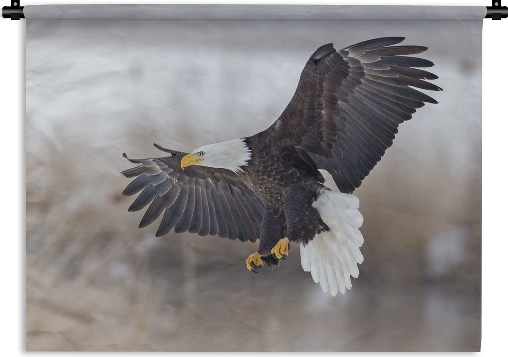 MuchoWow Wandteppich Wandbehang Ein amerikanischer Weißkopfseeadler mit ausgebreiteten Flügeln. 60x45 cm Tapisserie Dekoration Wandtuch - Das S...