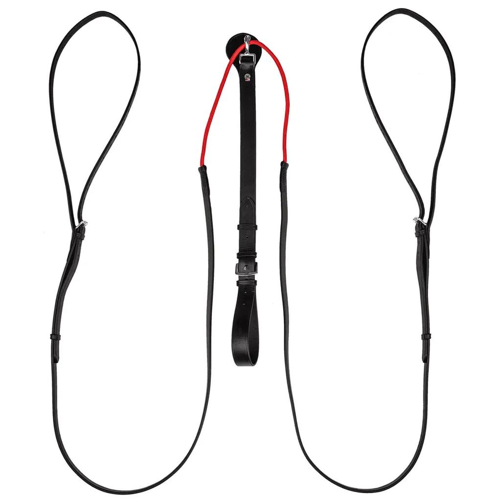 Rênes triangulaires Waldhausen W-trainRein pour muscler le dos du cheval