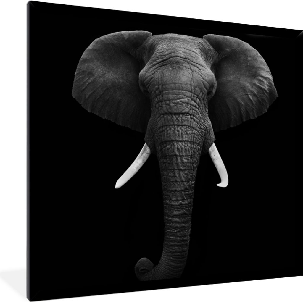 MuchoWow Gerahmtes Poster Elefant - Wildtiere - Schwarz - Weiß - Porträt 40x40 cm - Poster mit Schwarzem Bilderrahmen Wandposter Rahmen Foto Bi...