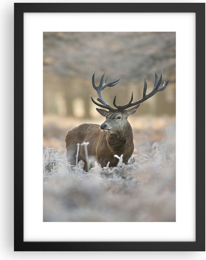 Gerahmtes Poster - Schwarzer Rahmen - Hirsch Wald Natur - 30x40 cm - Wand Bild - Wanddeko - Wandbilder - Kunstposter - Wandposter - Bilderrahmen - ...