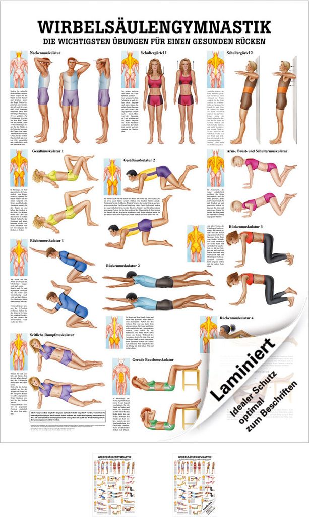 Wirbelsäulengymnastik Lehrtafel Anatomie 100x70 cm medizinische Lehrmittel