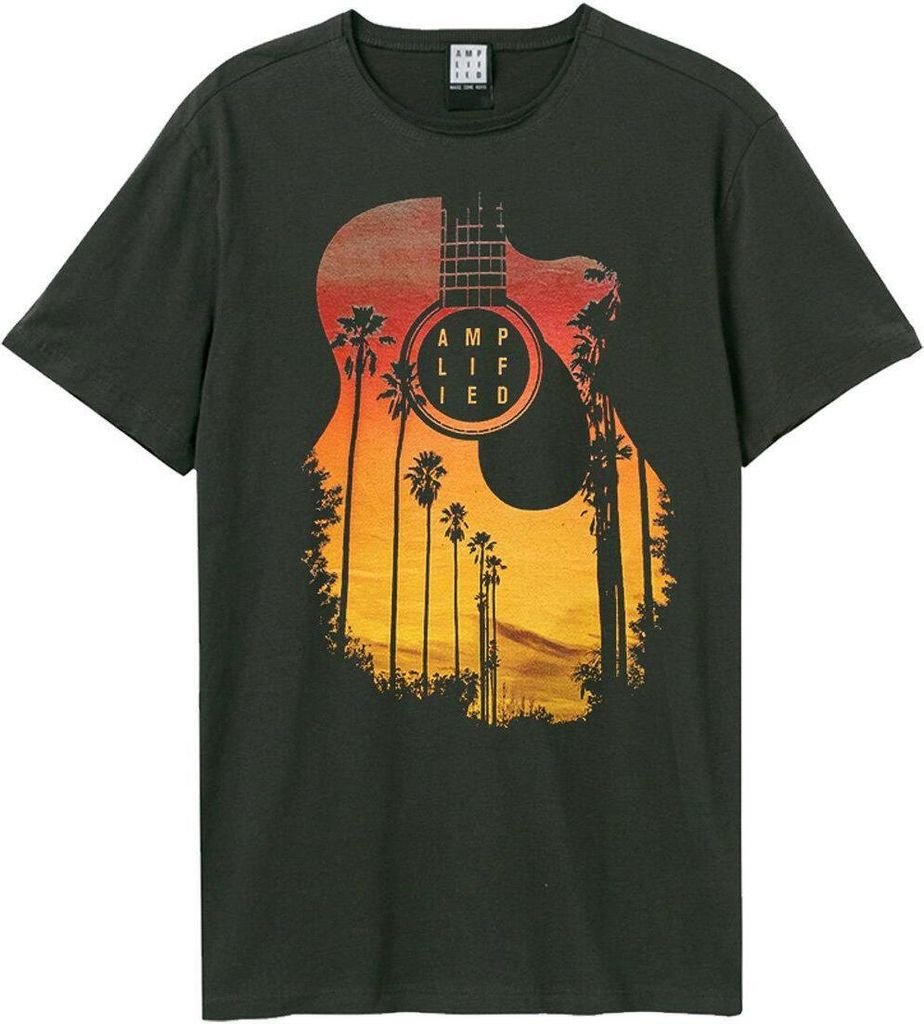 Amplified - T-Shirt für Herren/Damen Uni GD686 (M) (Holzkohle)