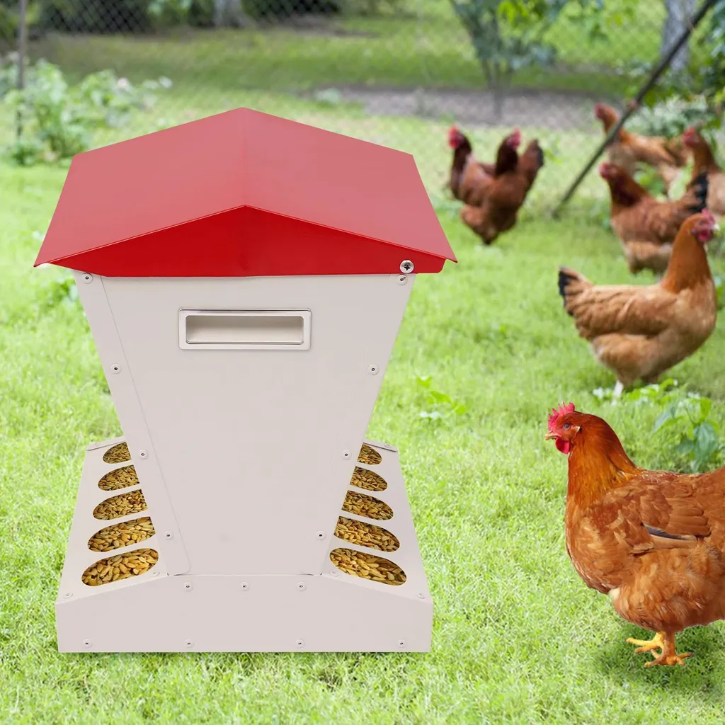 Distributeur automatique de nourriture poules sur pied grande capacité - 2