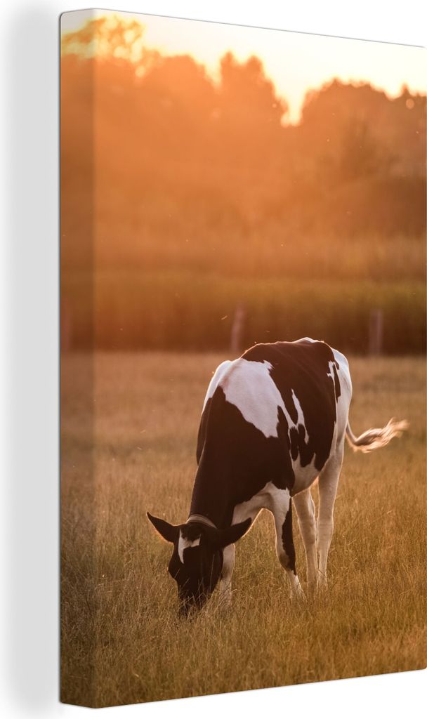 OneMillionCanvasses - Leinwandbilder - 90x140 cm, Kuh - Sonne - Tiere, Wandbilder Kunstdruck Wanddekoration - Foto auf Leinwand - Gemälde auf Ho...
