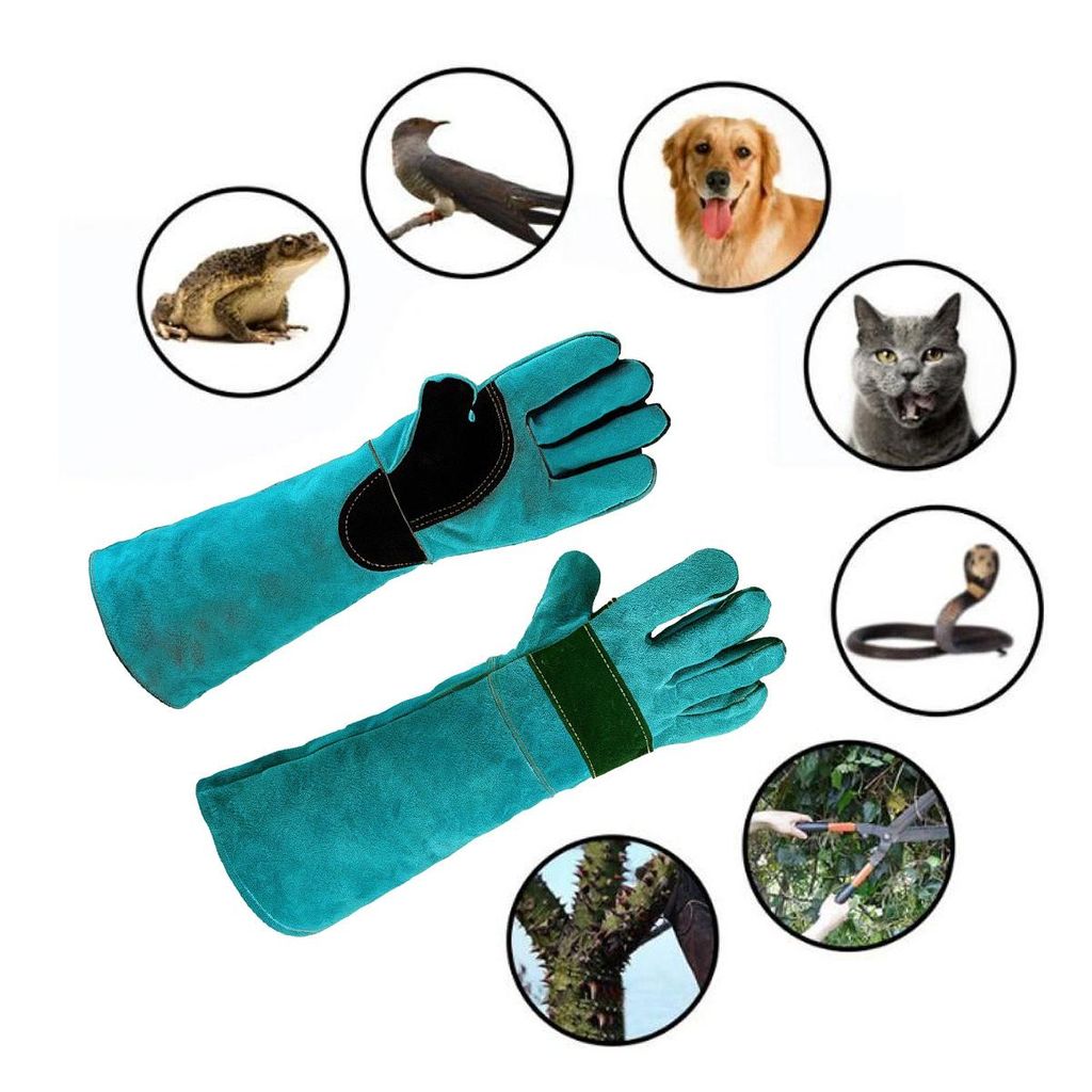 Bissfeste Handschuhe fr Hunde und Katzen, 45cm