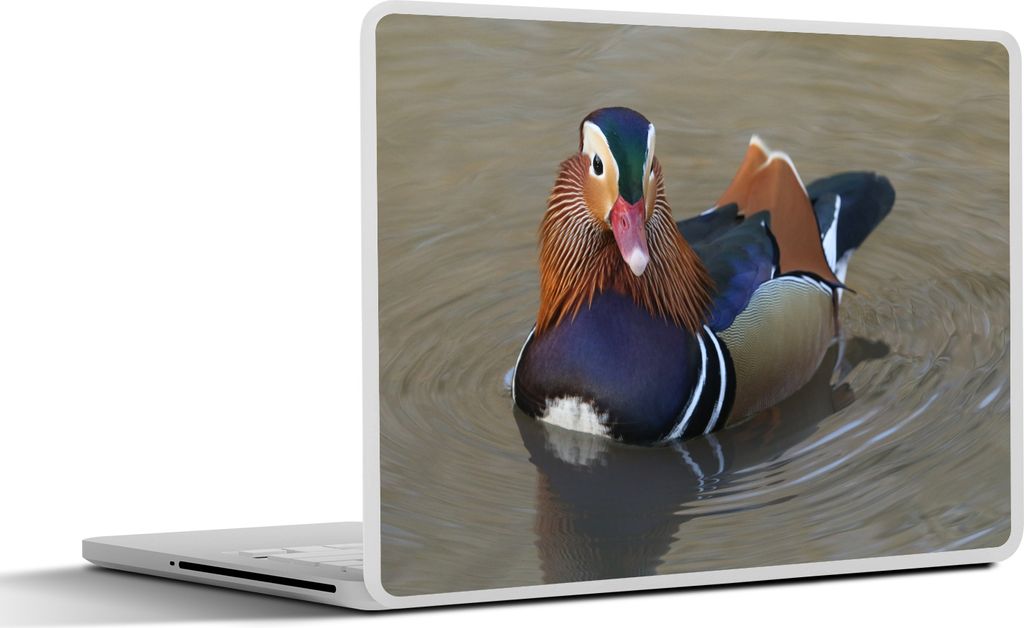 MuchoWow Laptop Aufkleber Sticker Cover Mandarinen-Ente - Wasser 36.5x27.5 cm - Laptop-Sticker
