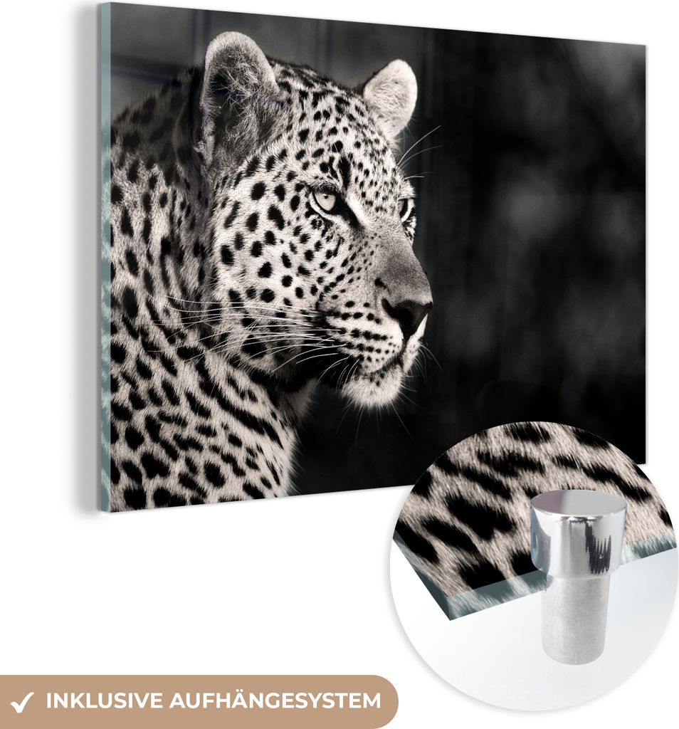MuchoWow Glasbilder - Bilder auf Wandbild - Foto auf Glas Leopard - Schwarz - Weiß - Südafrika 60x40 cm Wanddekoration aus Glas - Acrylglasbild -...