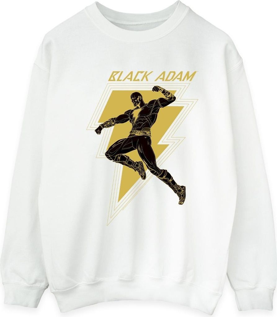DC Comics - Sweatshirt für Herren BI11174 (S) (Weiß)